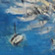 Hafen des S�dens